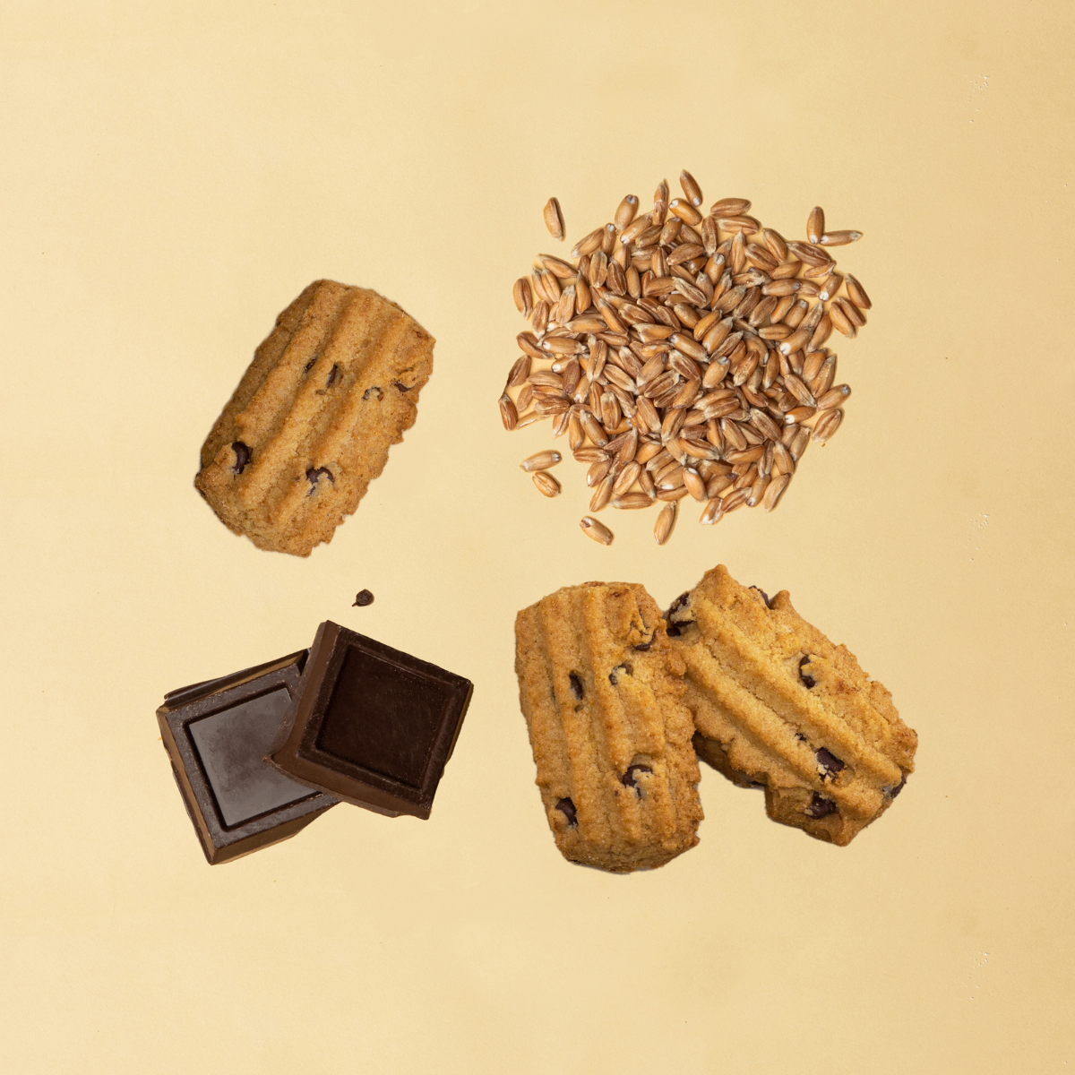 Biscotti Cioccole con Gocce di Cioccolato
