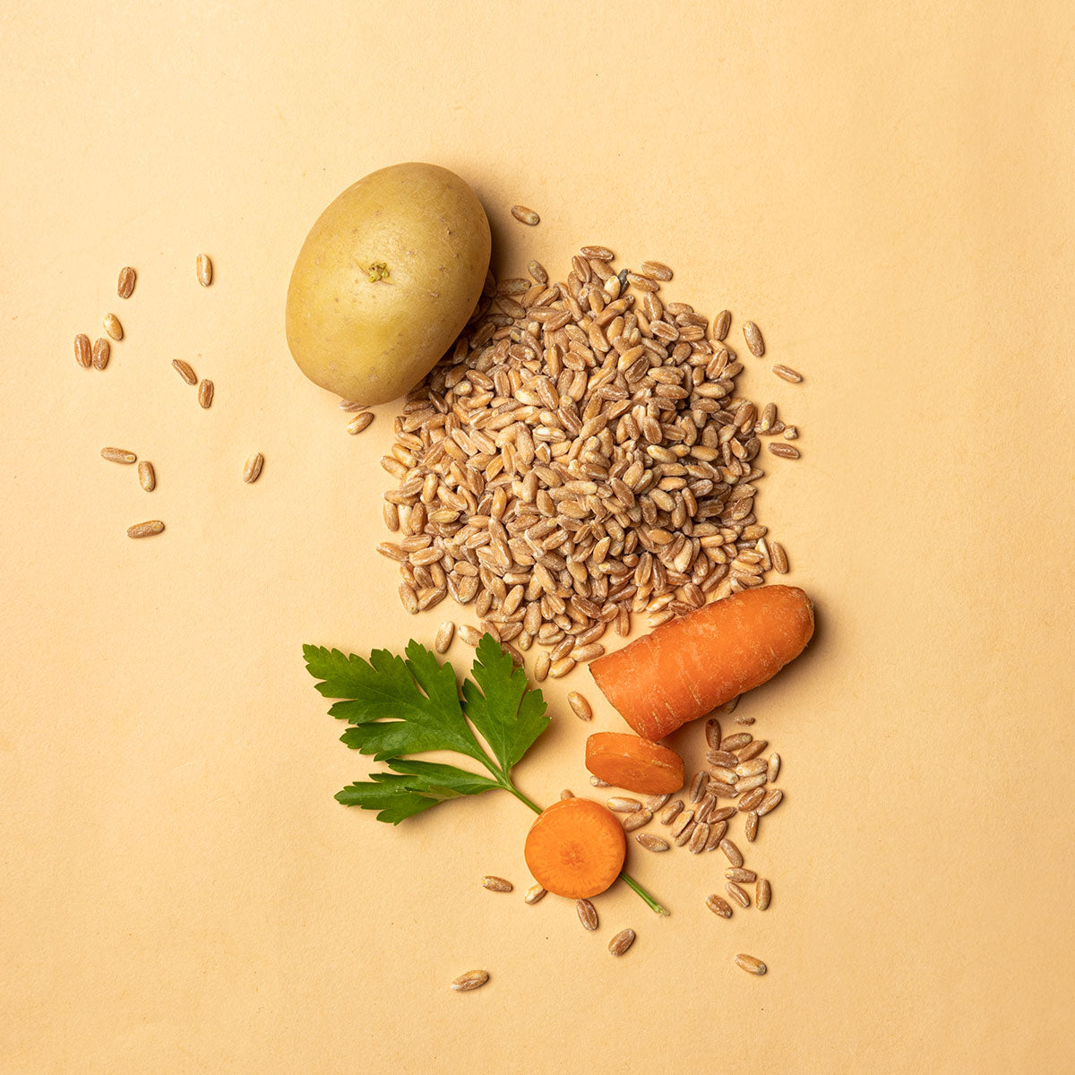 Farro Perlato, un cereale antico ricco di nutrienti, ideale per farrotto.