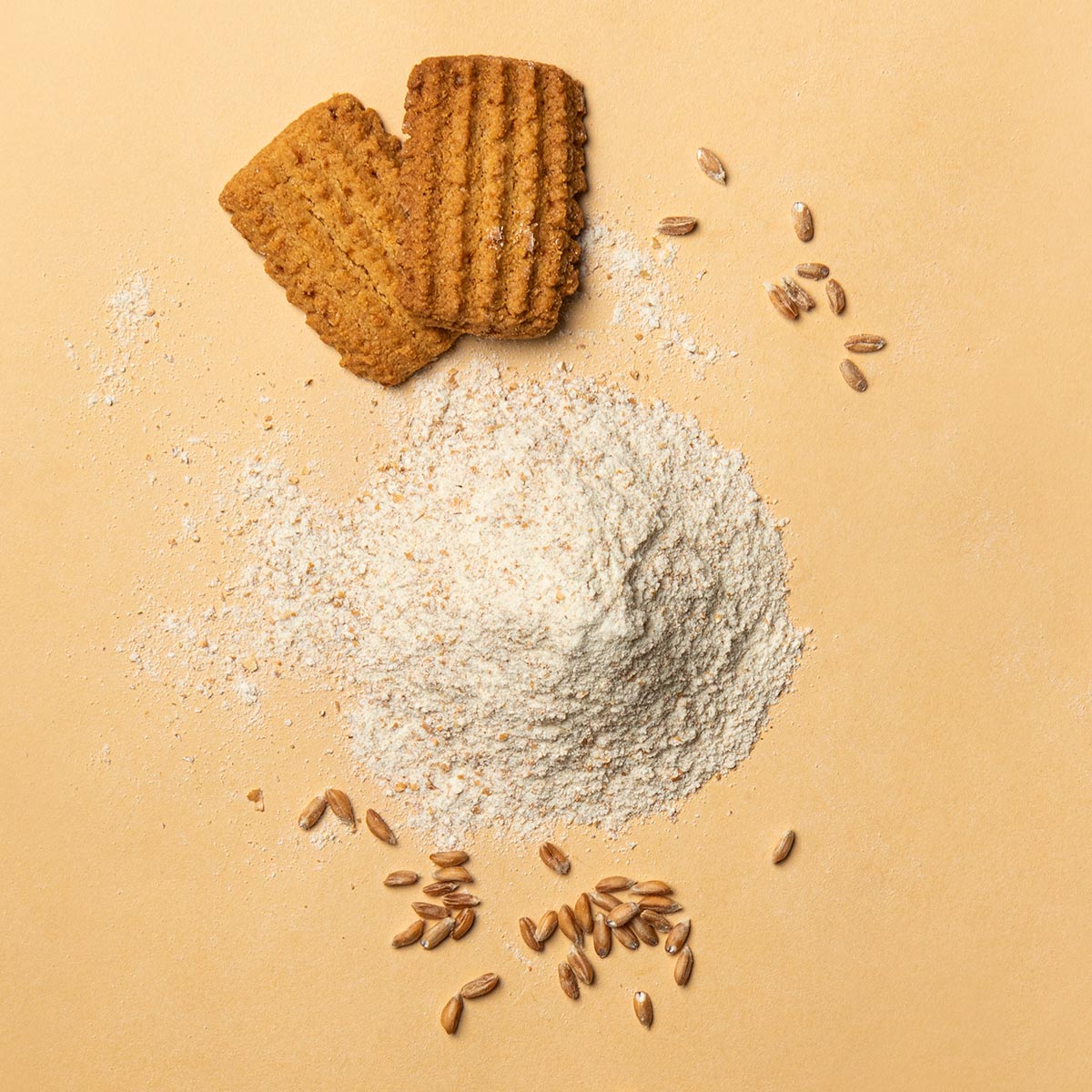 Farina di Farro Integrale, farina ricca di fibre e basso glutine.
