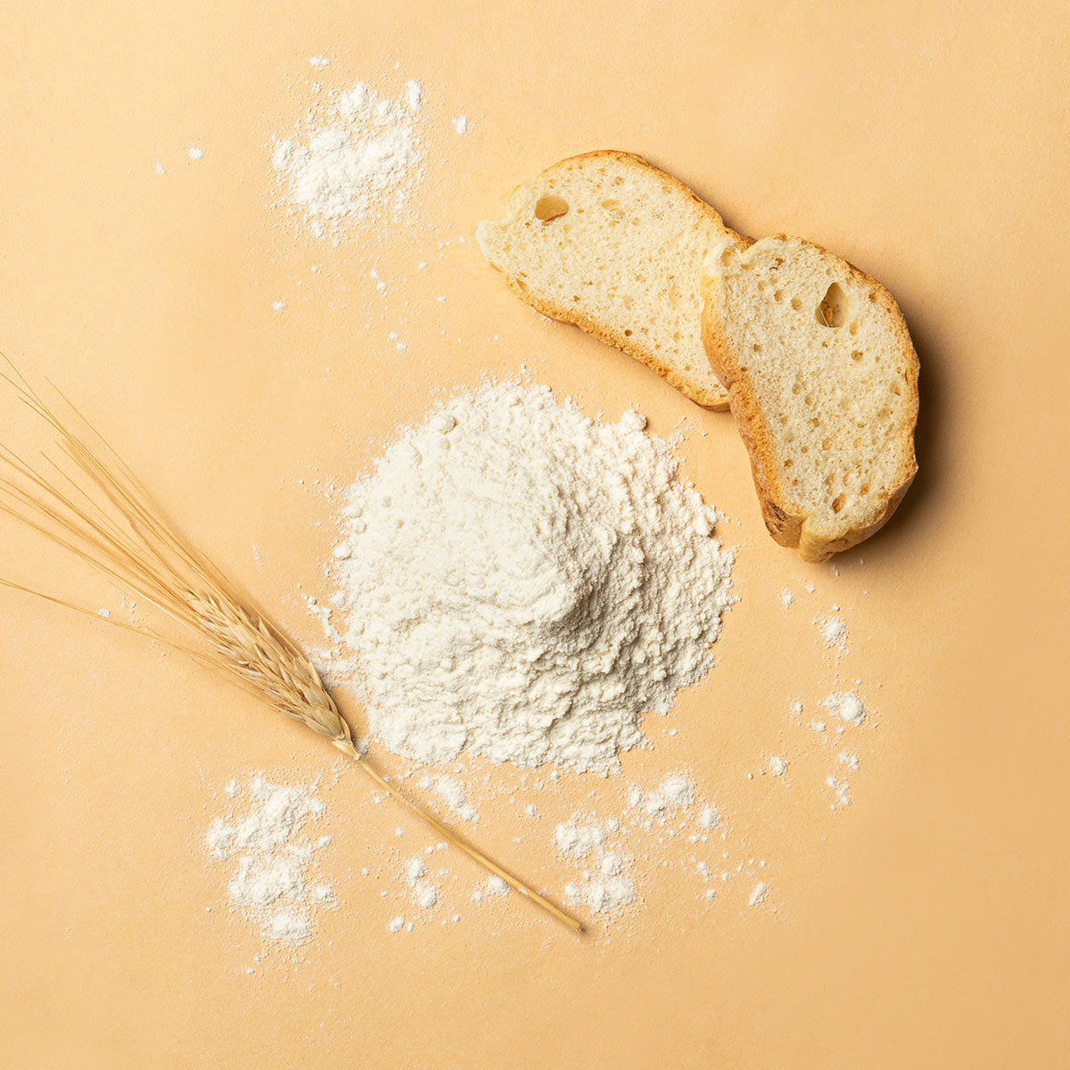 Farina di Grano Tenero Tipo 0 PANE, farina di forza per panificazione.