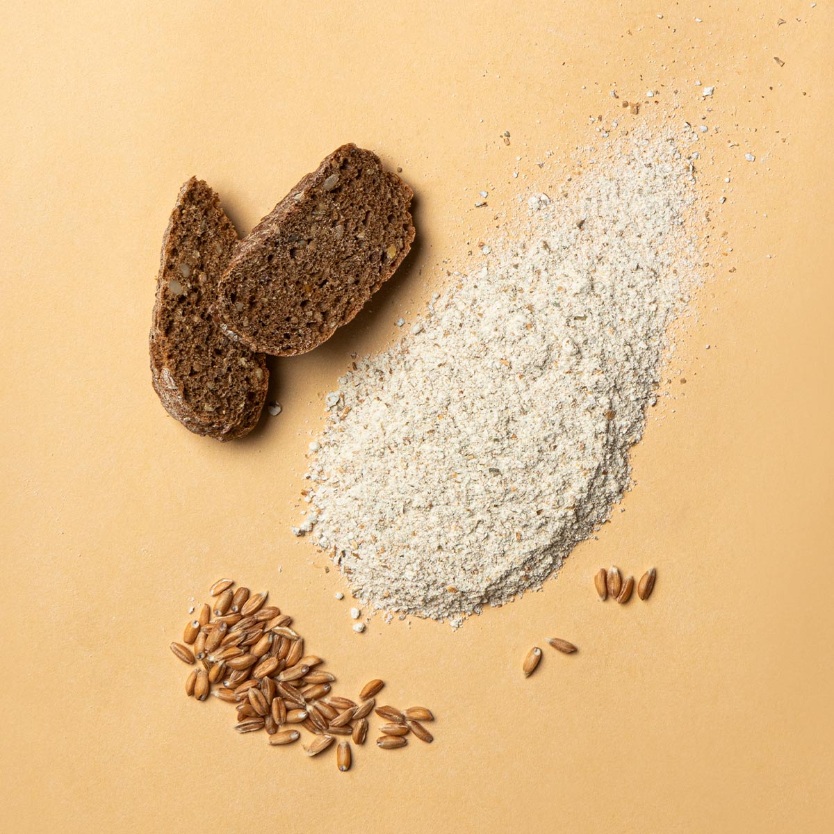 Farina di Segale Integrale Piemontese, ricca di proteine e fibre.