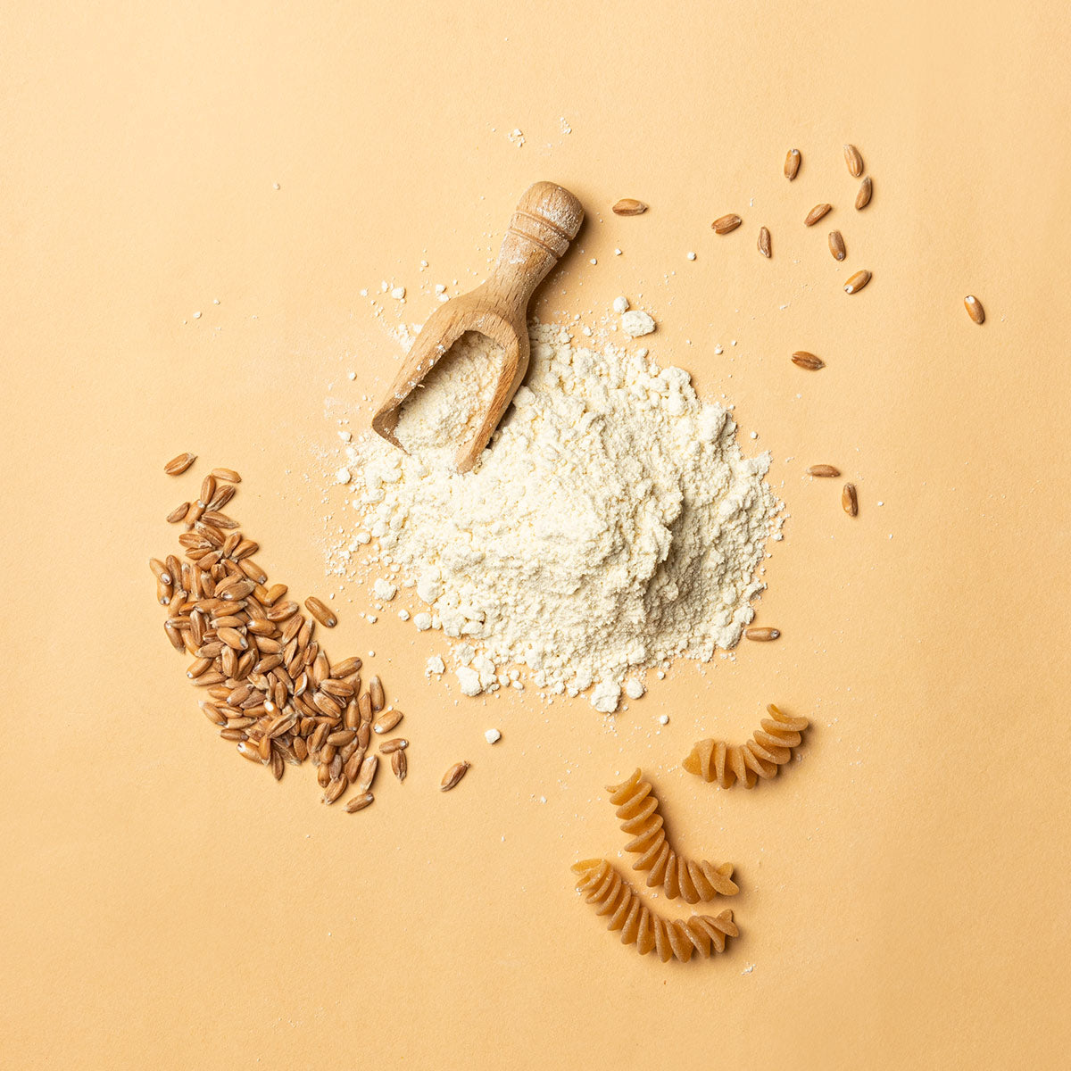 Spelt flour Monococco BIO - TIN